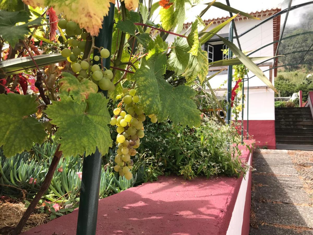 Casa Oliveira Esmeraldo - Guest Houses São Vicente Dış mekan fotoğraf