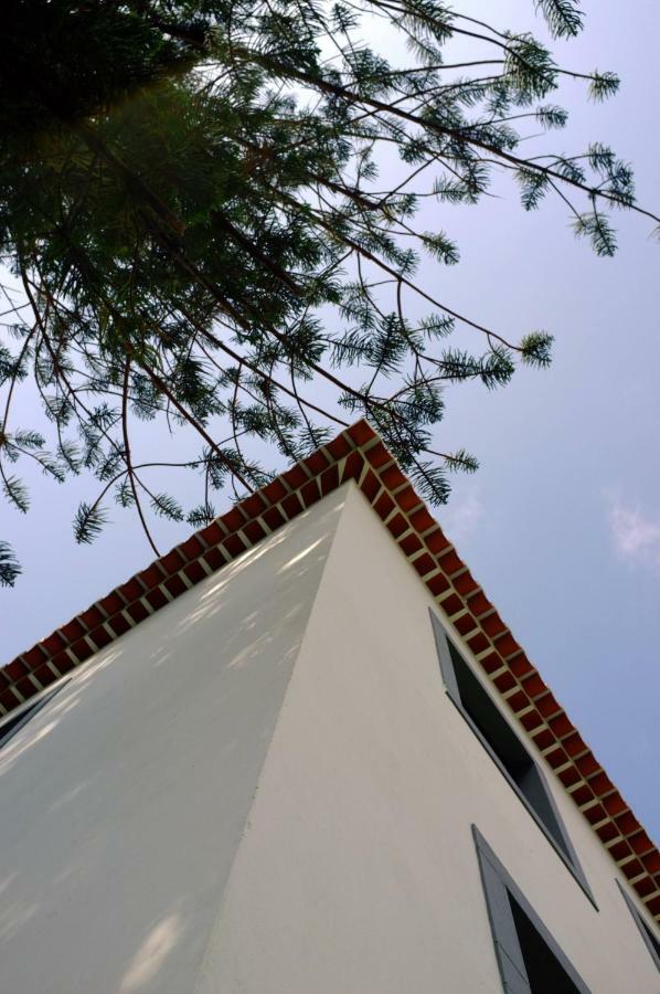 Casa Oliveira Esmeraldo - Guest Houses São Vicente Dış mekan fotoğraf