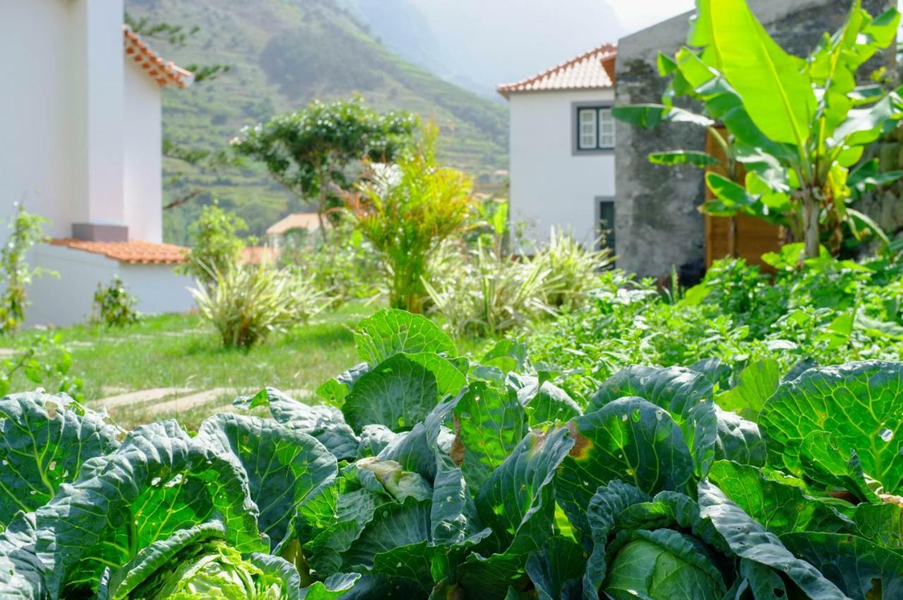 Casa Oliveira Esmeraldo - Guest Houses São Vicente Dış mekan fotoğraf